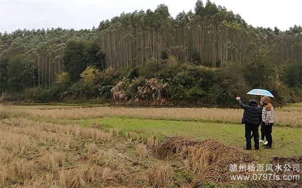 西安市陈老师带着爱徒寻龙点穴